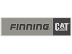 finning